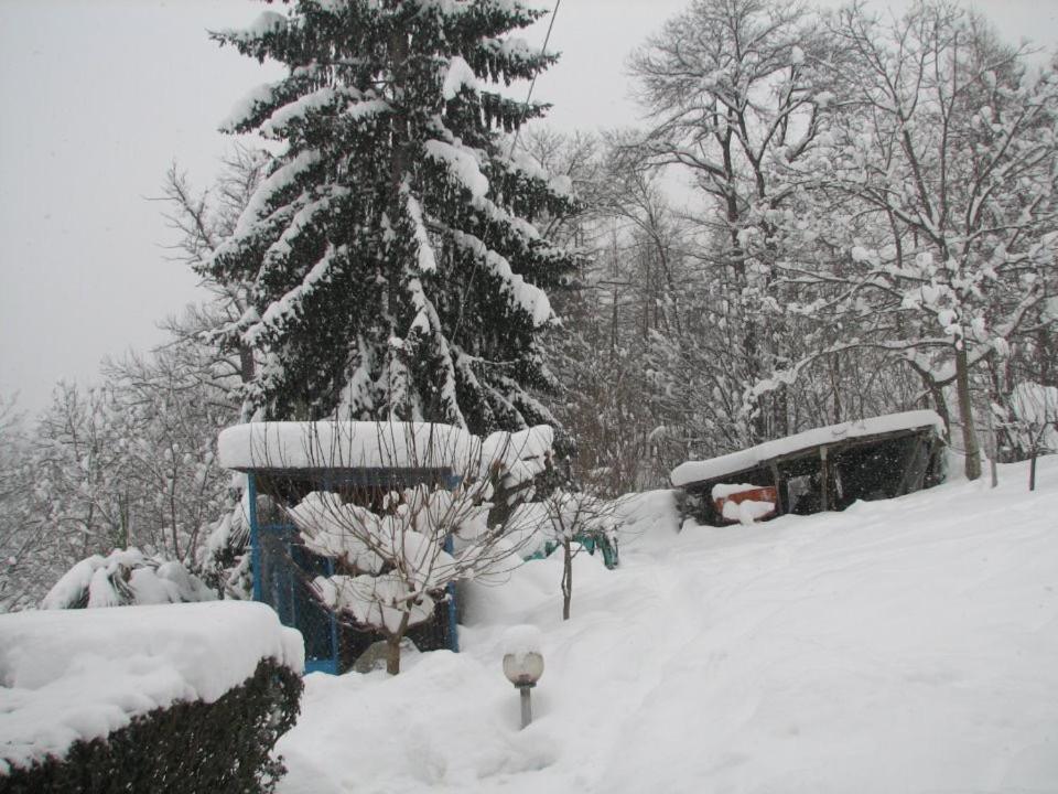 Peter Ranch 1 Apartman Vico Canavese Kültér fotó